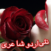 urdu triste raccolta dello stato di poesia