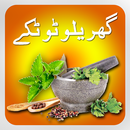 totkay en urdu - desi gharelu conseils APK