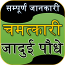 चमत्कारिक जादुई पौधे : Chamatkari Jadui Poudhe APK