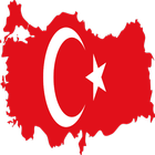 Turkish Visa Application icône