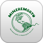 Minerembryo ikon