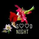 Good night gif APK
