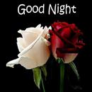 Goodnight gif APK