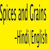 Spices and Grains in Hindi poster