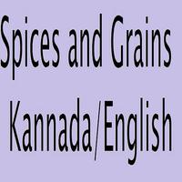 Spices and Grains in Kannada Affiche