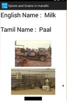Spices And Grains in Tamil captura de pantalla 3