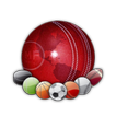 Sports Eye Cricket - Lite