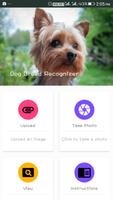 Dog Breed Recognizer постер