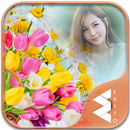 Colorful Tulips Photo Frames APK