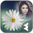 Daisy Flower Photo Frames APK