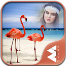 Flamingo Photo Frames APK