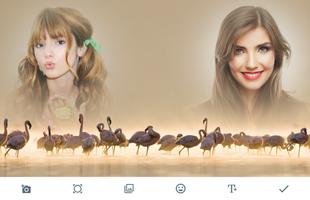Flamingo Photo Frames poster