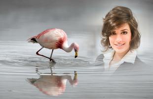 Flamingo Photo Frames screenshot 1