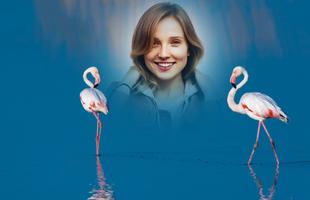 Flamingo Photo Frames screenshot 3