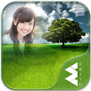 Lone Tree Photo Frames APK