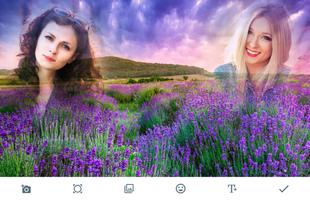 Lavender Photo Frames Affiche