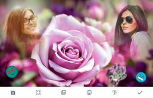 Pink Rose Photo Frames-poster