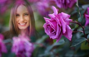 Pink Rose Photo Frames screenshot 1