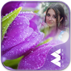 Purple Tulips Photo Frames icône