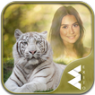 White Tiger Photo Frames