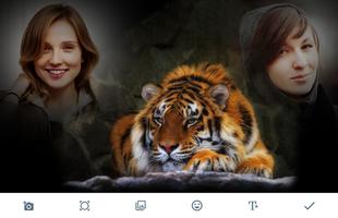 Tiger Photo Frames Cartaz