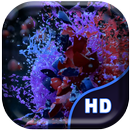 Explosive Fruits Live Wallpap APK