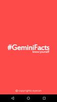 Gemini Facts Affiche