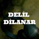 Delil Delinar APK