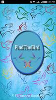 Find The Bird poster