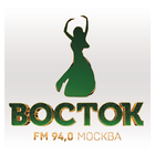 Радио Восток FM icône