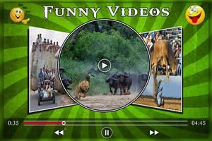 Funny Videos पोस्टर