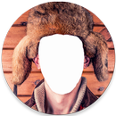 Fotomontagem (Engraçadas) APK