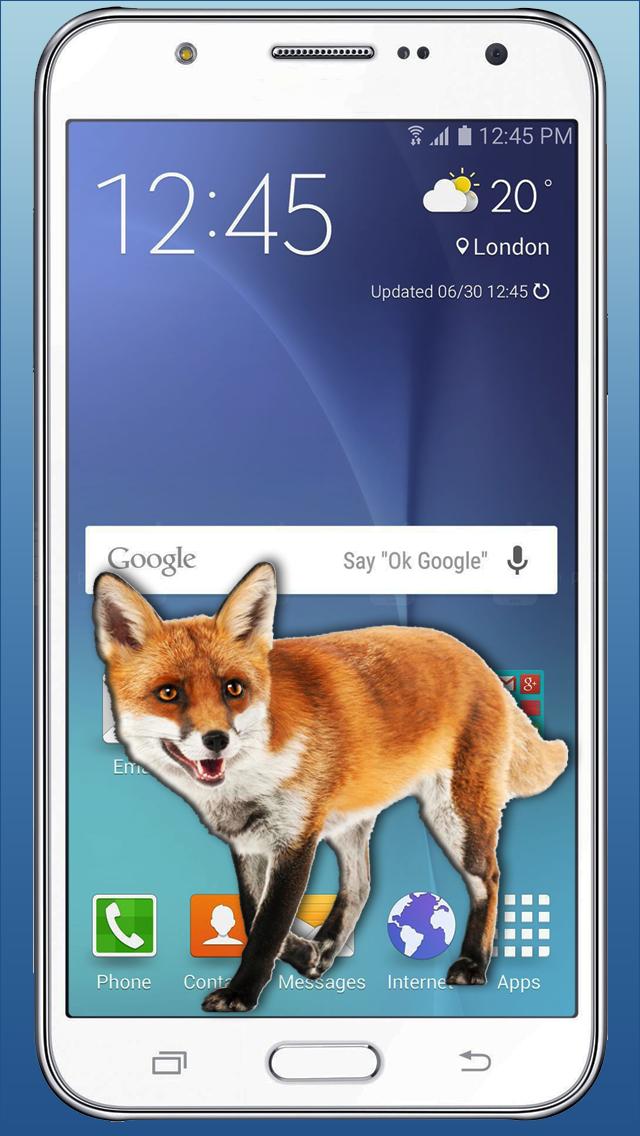 Fox приложение. Приложение с лисичкой. Лис на андроид. Launcher Android лиса. Приложение с лисом на телефон.