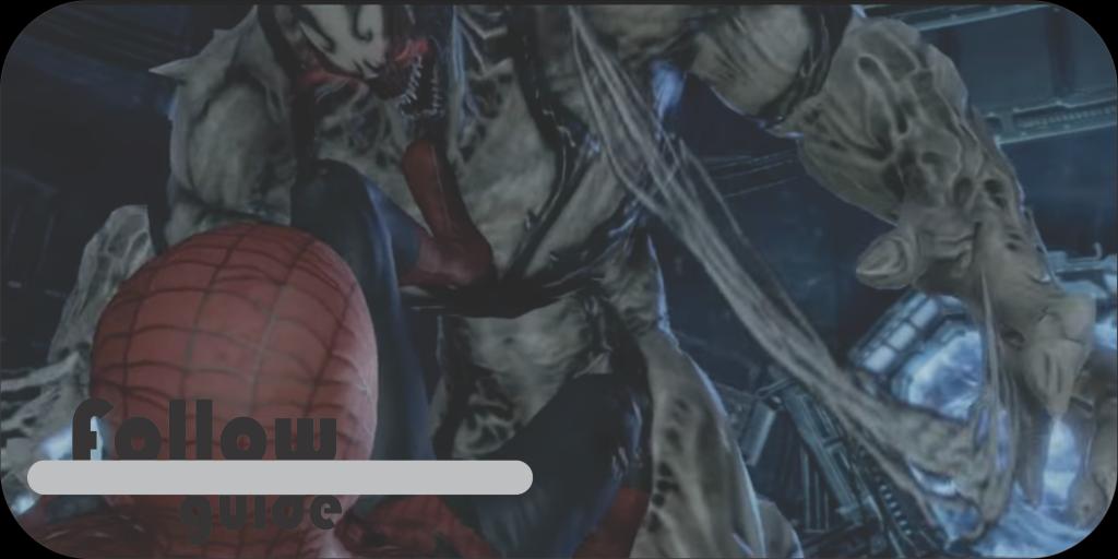 Spider Spider