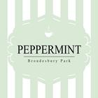 Peppermint Food icône