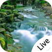 ”Forest Creek Live Wallpaper