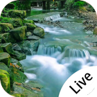 Forest Creek Live Wallpaper icon