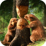 Forest Animals Beaver LiveWP icône