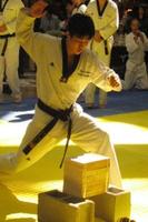 Taekwondo Forms Affiche
