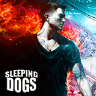 Guide Sleeping Dogs icon