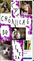 Las Crónicas de Teresa (ebook) スクリーンショット 2