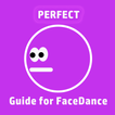 Ｇｕｉｄｅ　ｆｏｒ　ＦａｃｅＤａｎｃｅ　Ｃｈａｌｌｅｎｇｅ－Ｈｏｗ　ｔｏ　ｇｅｔ　ｐｅｒｆｅｃｔ