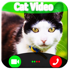Video Call From Cat 图标