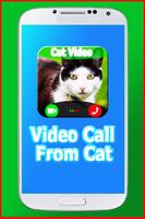 Video Call From Cat постер