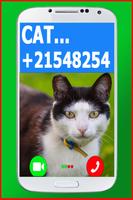 Video Call From Cat 截图 1
