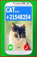 Video Call From Cat 截图 2