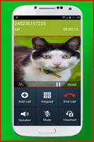 Video Call From Cat 截图 3