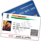 Fake ID Card icon