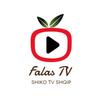 Falas TV - Shiko TV Shqip APK
