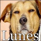 Lunes أيقونة